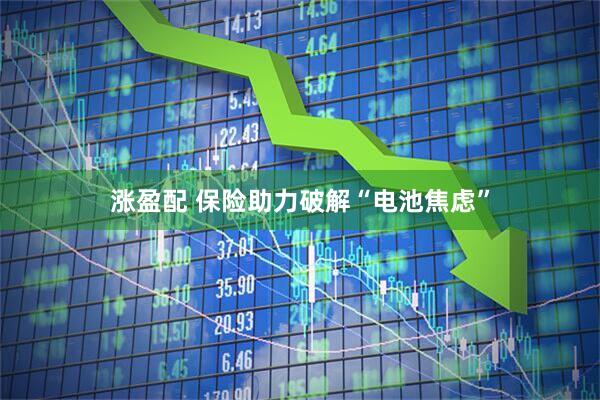 涨盈配 保险助力破解“电池焦虑”