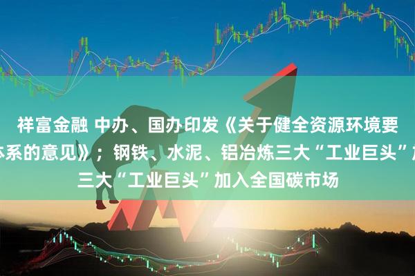 祥富金融 中办、国办印发《关于健全资源环境要素市场化配置体系的意见》；钢铁、水泥、铝冶炼三大“工业巨头”加入全国碳市场