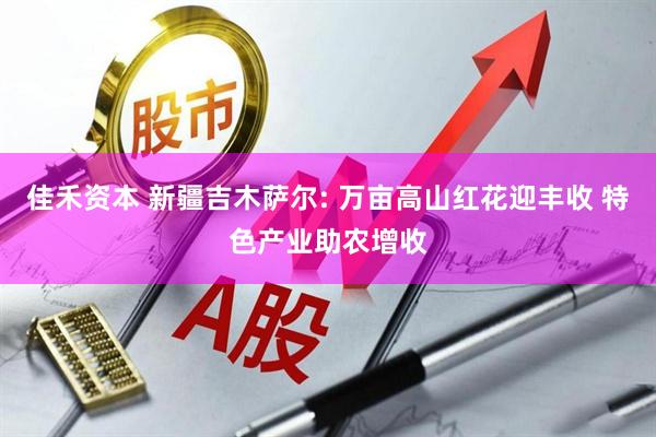 佳禾资本 新疆吉木萨尔: 万亩高山红花迎丰收 特色产业助农增收