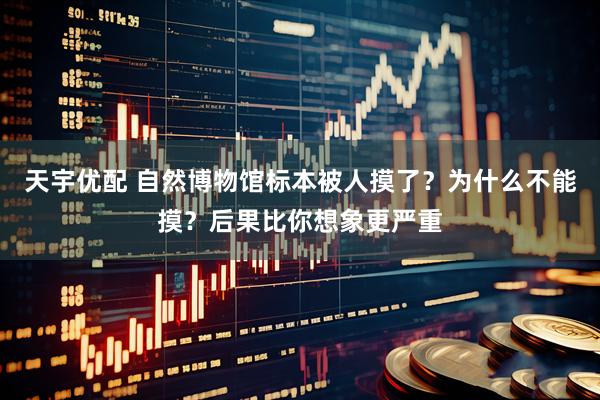 天宇优配 自然博物馆标本被人摸了？为什么不能摸？后果比你想象更严重