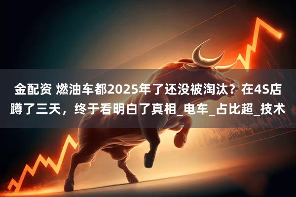 金配资 燃油车都2025年了还没被淘汰？在4S店蹲了三天，终于看明白了真相_电车_占比超_技术