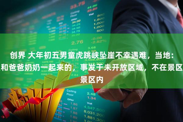 创界 大年初五男童虎跳峡坠崖不幸遇难,当地:是和爸爸奶奶一起来的,事发于未开放区域,不在景区内